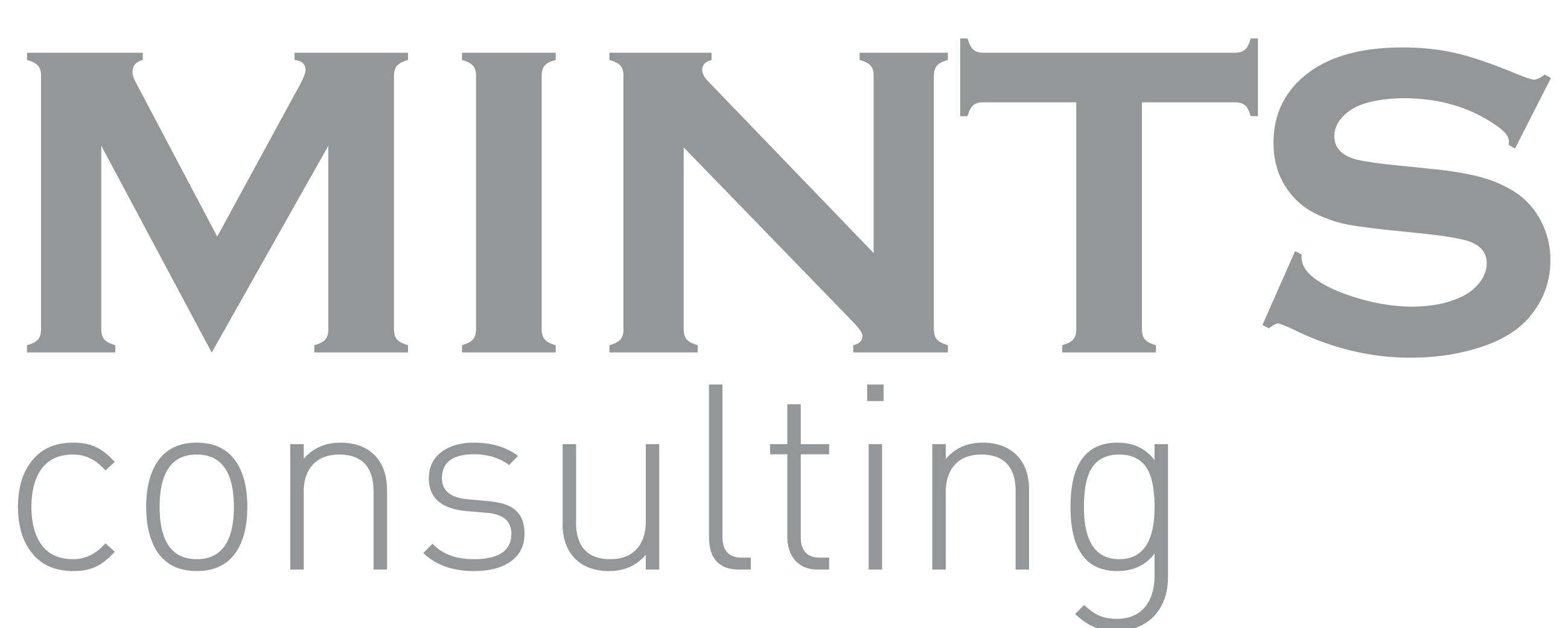 Mints Consulting